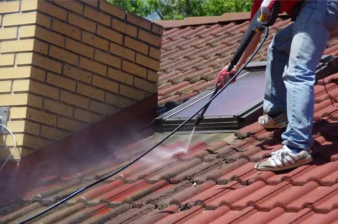 Pressure Washing 1 Professional roof cleaner